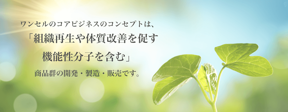 ワンセルのコアビジネスのコンセプトは、
「組織再生や体質改善を促す機能性分子を含む商品群の開発・製造・販売」
です。